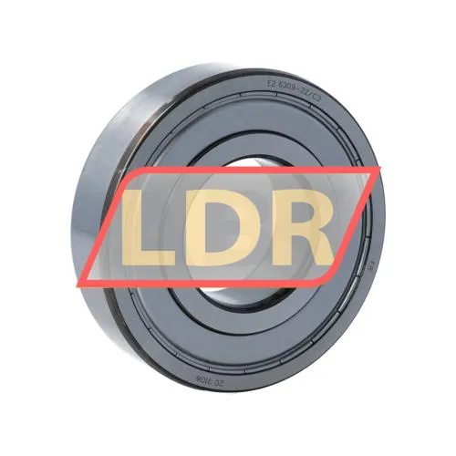 SKF E2-6309-2Z/C3