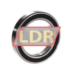 INA 61911-2RSR