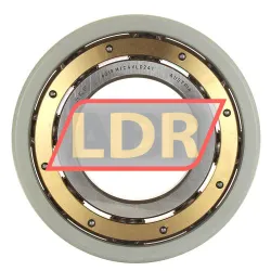 SKF 6319M/C4VL0241 rulman resim 3