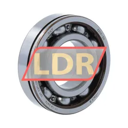 SKF 6206-ZN