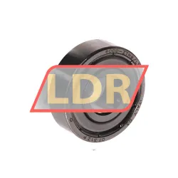 SKF 6000-ZTN9/LT