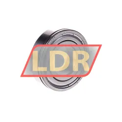 SKF 6004-2ZN