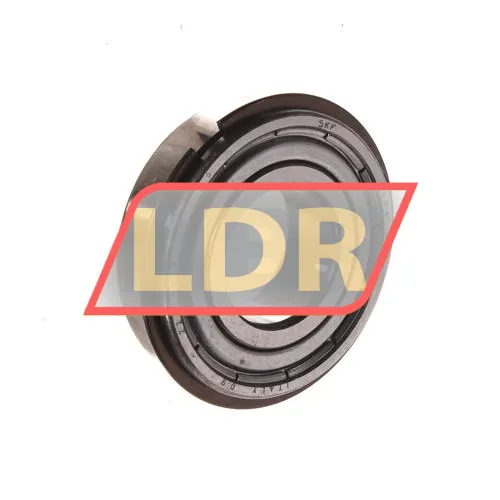 SKF 6004-2ZNR