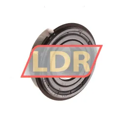 SKF 6004-2ZNR