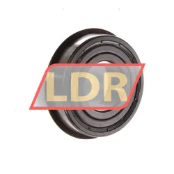 SKF 6004-2ZNR rulman resim 2