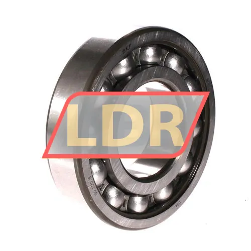 SKF 313