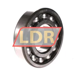 SKF 313
