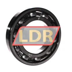 SKF 6219/C4