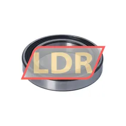 SKF 6013-2RS1/C3 rulman resim 4