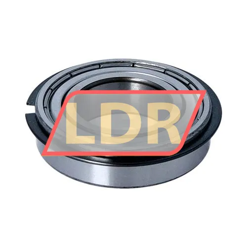 SKF 6005-2ZNR