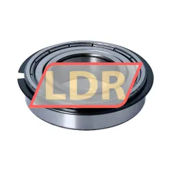 SKF 6005-2ZNR