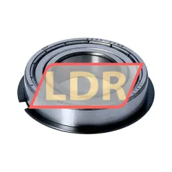 SKF 6005-2ZNR rulman resim 2