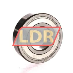 SKF 309-Z