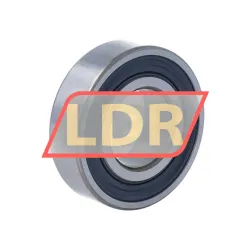 SKF 6004-2RS2/C3GWP rulman resim 2