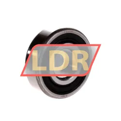 SKF RLS6-2RS1