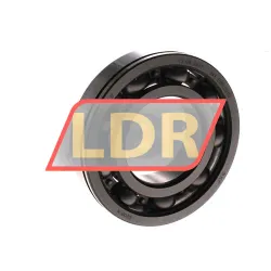 SKF 6208N