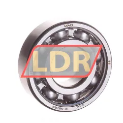 SKF 6204/C3