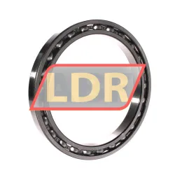 SKF 61834