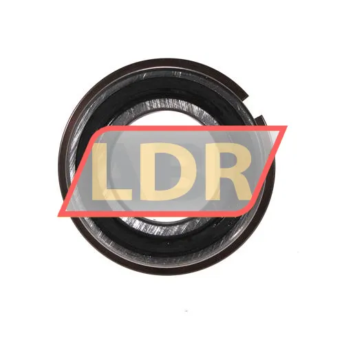 SKF 6006 2RS1NRJEM ürün fotoğrafı 2