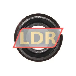 SKF 6006 2RS1NRJEM