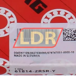 FAG 61814-2RSR-Y rulman resim 4