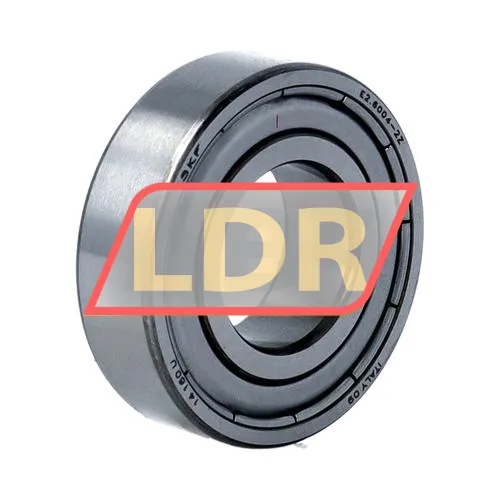 SKF E2-6004-2Z