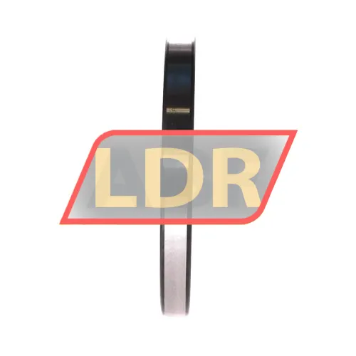 SKF 61821-2RS1 ürün fotoğrafı 2