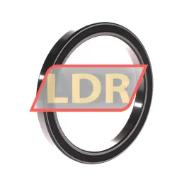 SKF 61821-2RS1