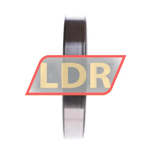 SKF 6020-2RS1 ürün fotoğrafı 4