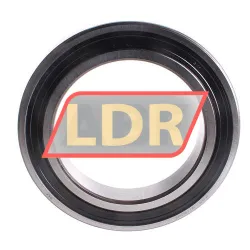 SKF 6020-2RS1 rulman resim 2