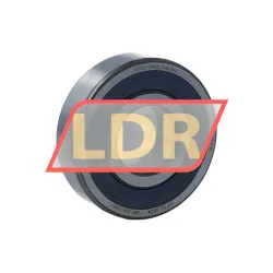 SKF 6305-2RS2/C4GJN4