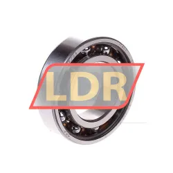 SKF 6005TN9/C3