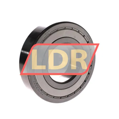 SKF 313-2Z