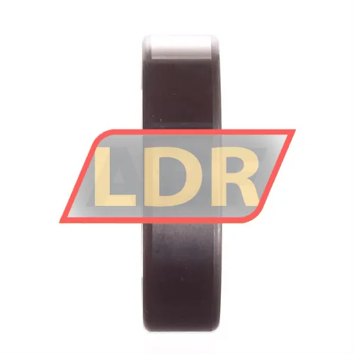 SKF 6005-2RSH ürün fotoğrafı 2