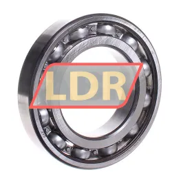 SKF 6216