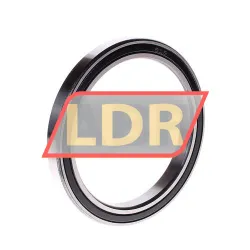 SKF 61818-2RS1