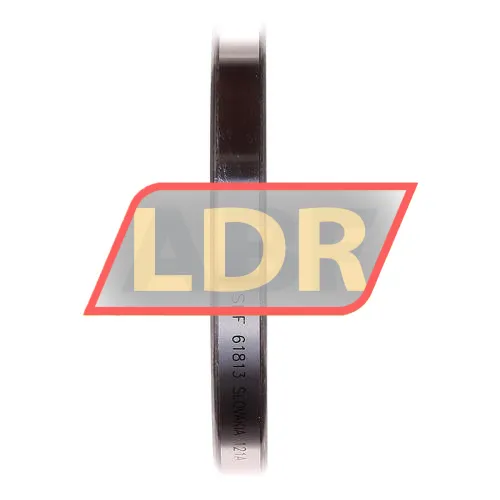 SKF 61813 ürün fotoğrafı 2