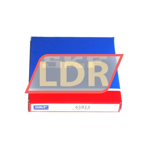 SKF 61813 ürün fotoğrafı 3