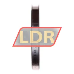 SKF 61813 rulman resim 2