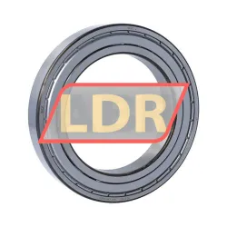 SKF 6020-2Z