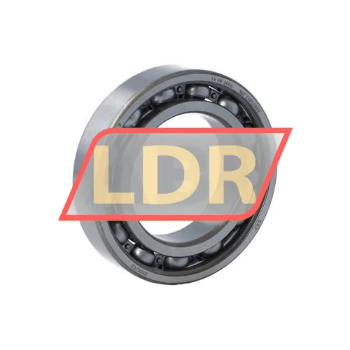 SKF 6009/C2