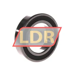 SKF 6009-2RS1