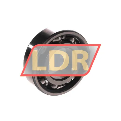 SKF 6004 ürün fotoğrafı 2