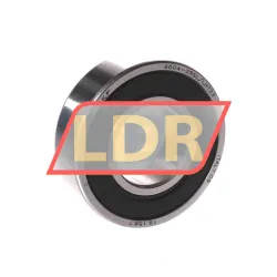 SKF 6004-2RSL/LHT23