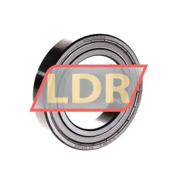 SKF 6010-2Z/C3GJN