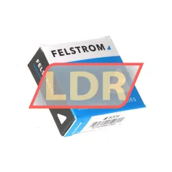 Felstrom 6004 rulman resim 3