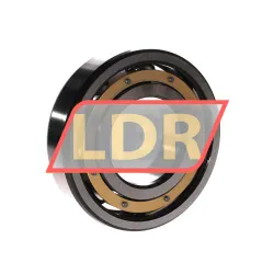SKF 6313M/C3S0VQ335 rulman resim 2