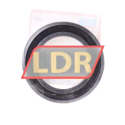 SKF 61906-2RS1