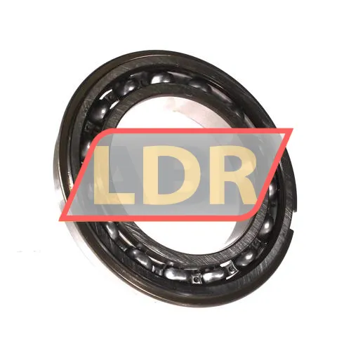 SKF 6017NR
