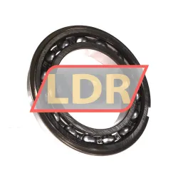 SKF 6017NR